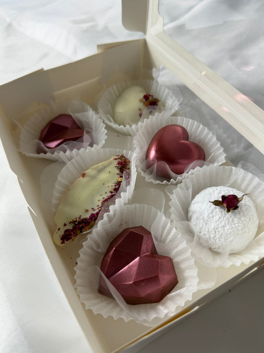 Special Edition Februar